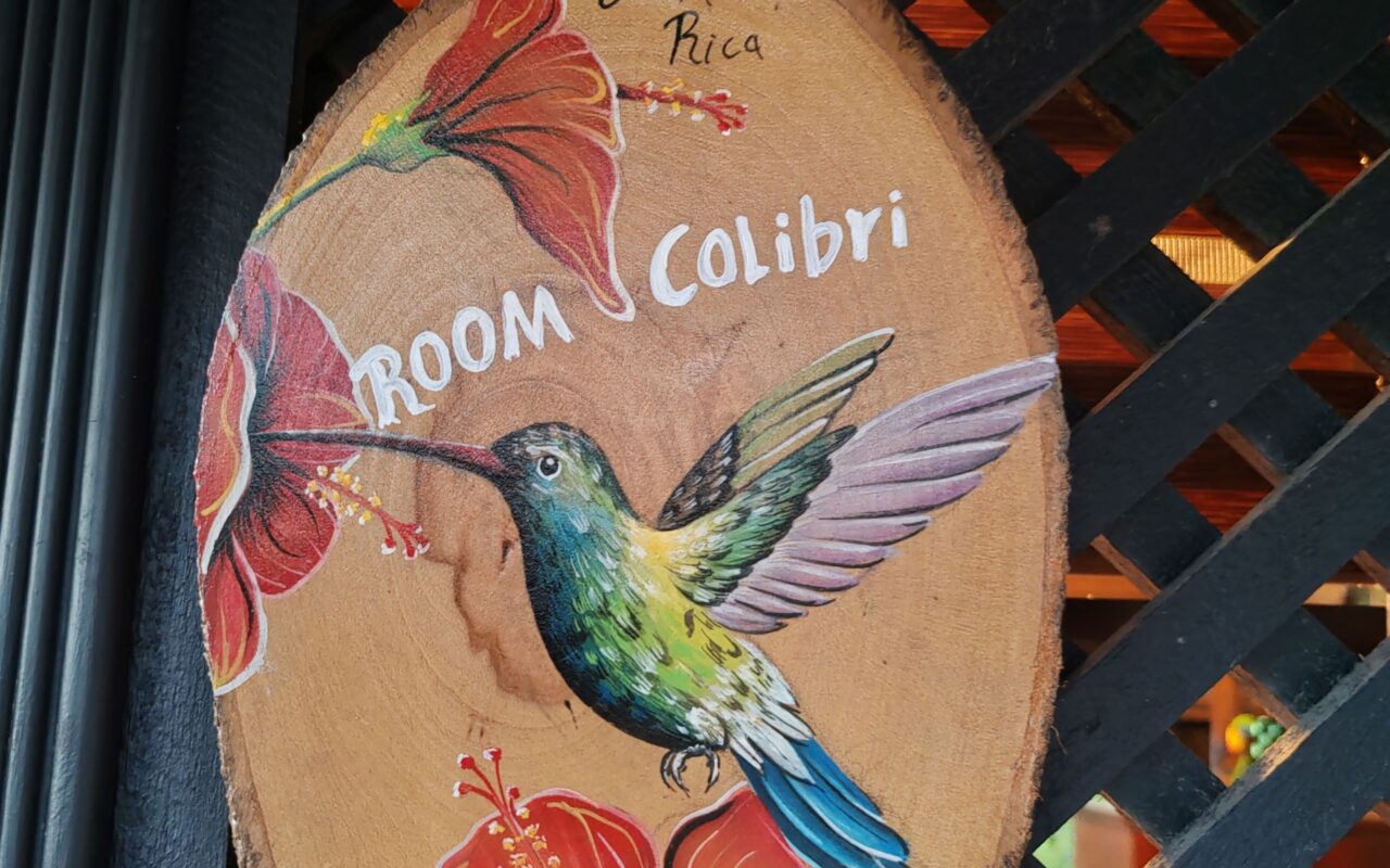 eco lodge near arenal volcano