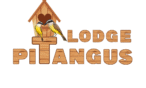 pitangus lodge chachagua costa rica
