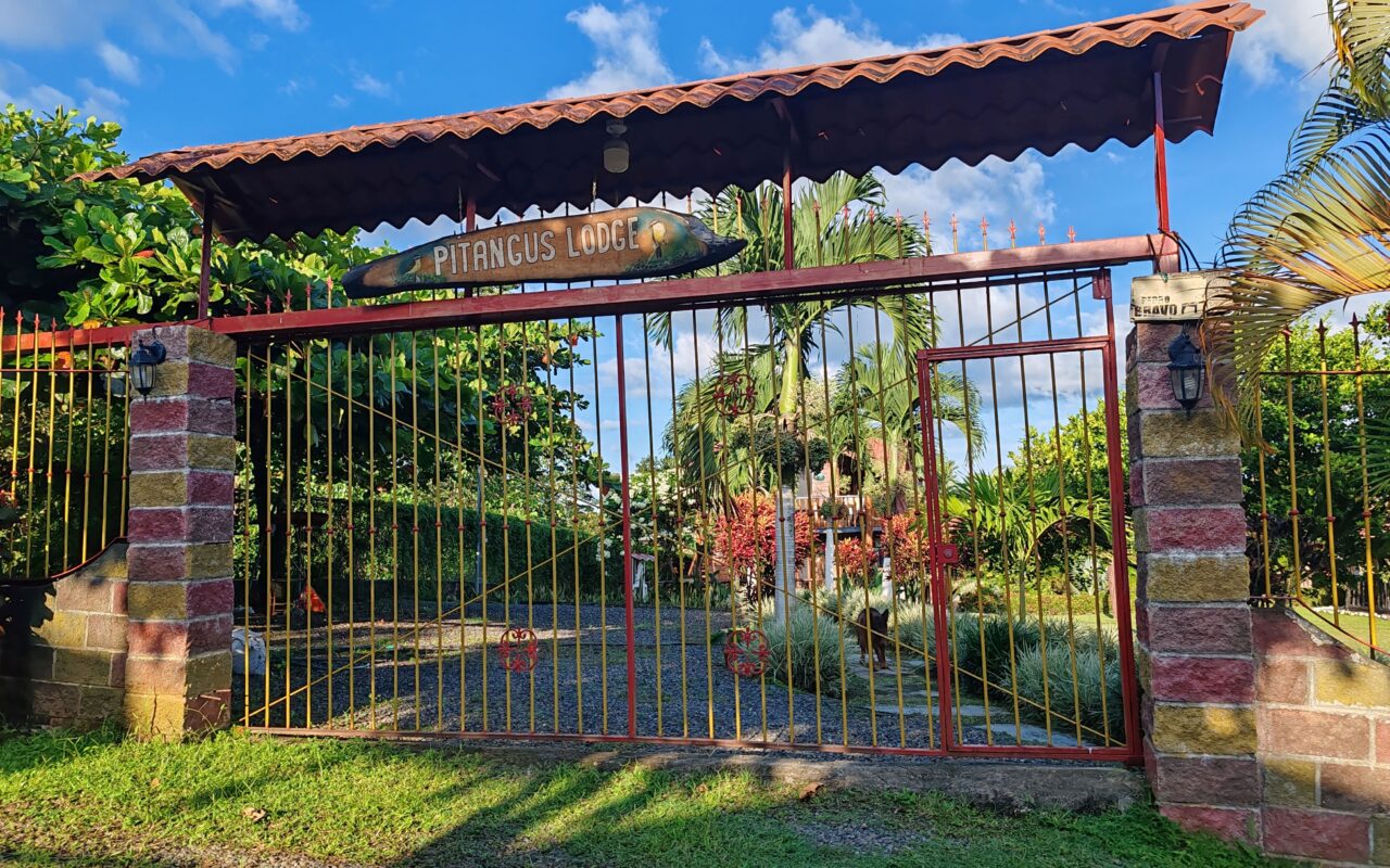 bungalows near chachagua rainforest