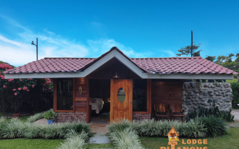 cabins 15 minutes from la fortuna